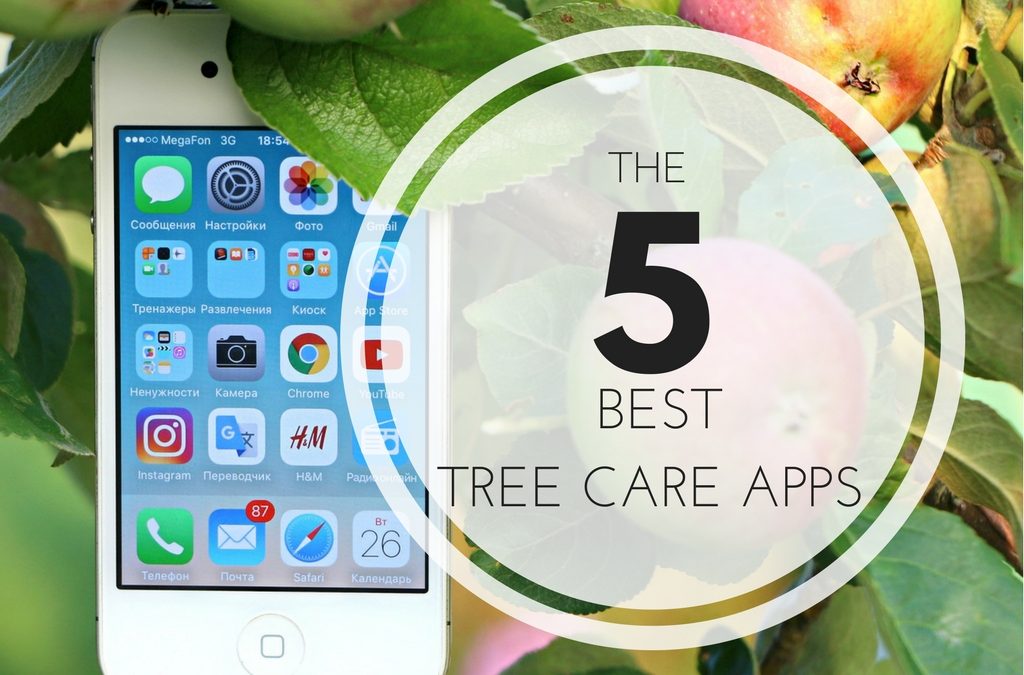 5 Best Tree Care Apps