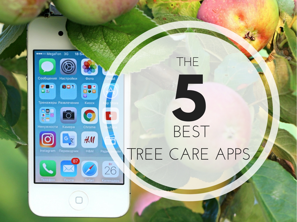 The 5 Best Tree Care Apps - Anglin Brothers Tree Service