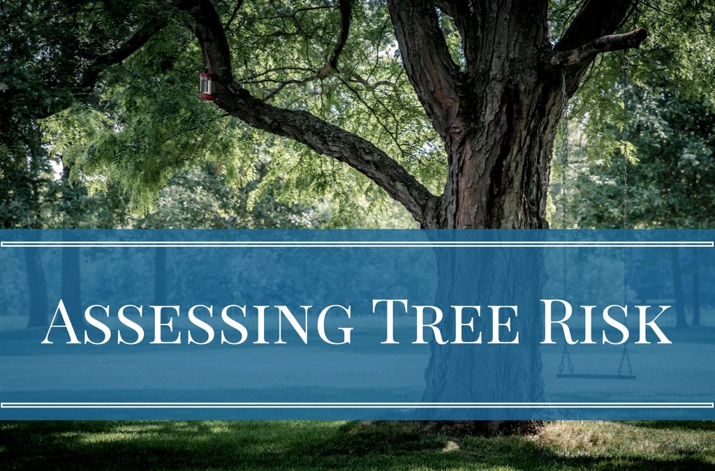 Assessing Tree Risk